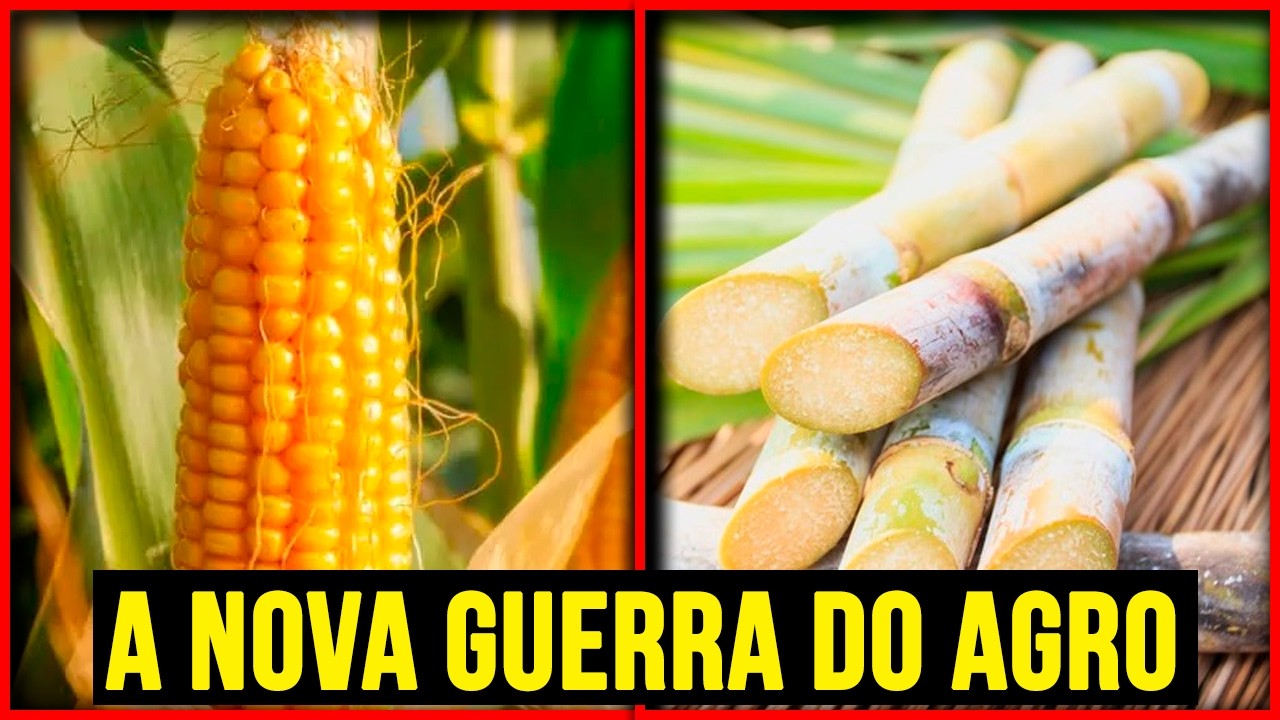 VEJA como o Milho SUPEROU a Cana de Açucar na Produção do ETANOL (Isso MUDA TUDO...)