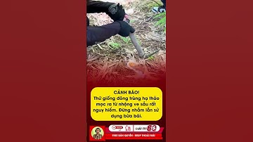 Cảnh báo ngộ độc khi dùng thứ thực phẩm gần giống như đông trùng hạ thảo #tintuc #giaitri #shorts