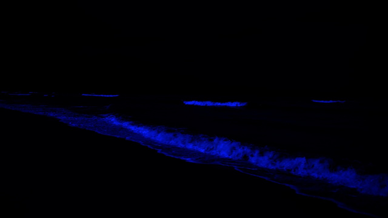 No Ads Sleep Instantly In Under 4 Minutes • Stress & Anxiety Relief • Restore Your Body And Mind