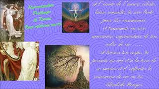 Harmonisation Printemps De Femme Régénération De Ton Arbre De Vie Et Union Sacrée Terre Ciel