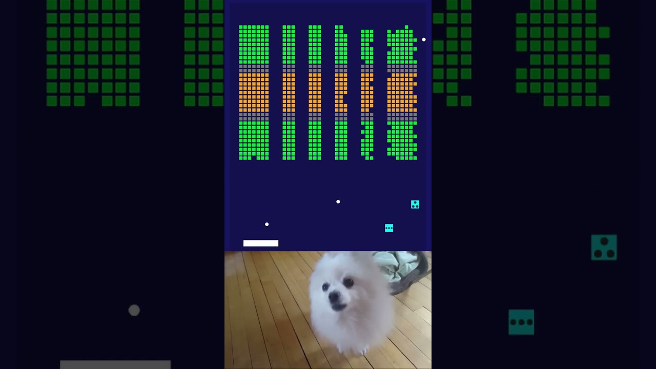 chipi chipi chapa chapa 