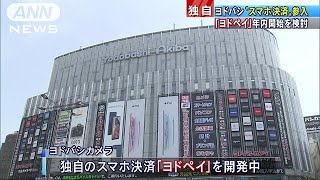 その名も「ヨドペイ」　ヨドバシもスマホ決済参入へ(19/02/18)