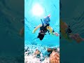 【西表島】Insta360 X5で撮る美しい海の世界 #沖縄 #西表島 #insta360