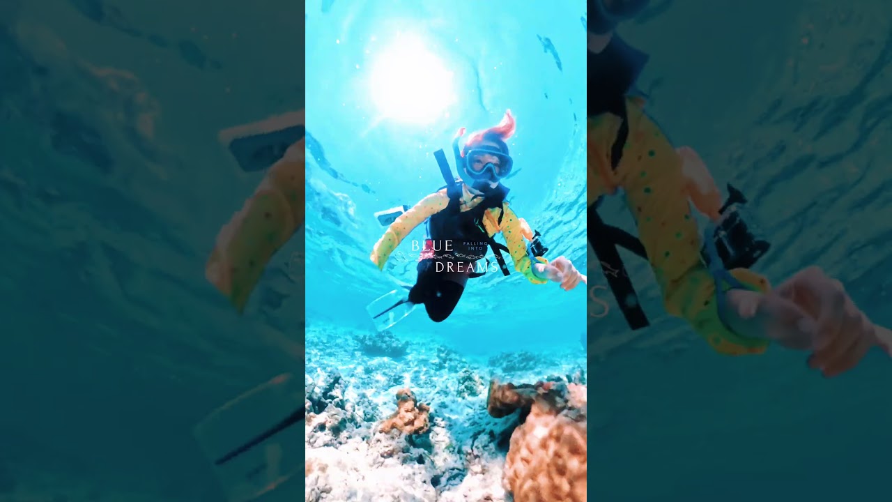 【西表島】Insta360 X5で撮る美しい海の世界 #沖縄 #西表島 #insta360