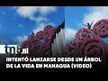 Tensión en Managua: hombre amenazó con lanzarse desde un Árbol de la Vida