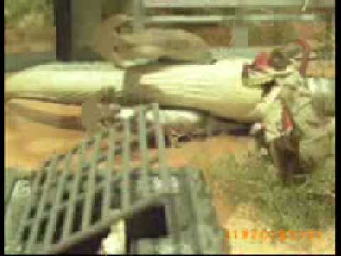 Jurassic Park Stop Motion: Raptor Attack - YouTube