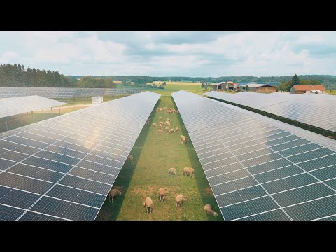 Erneuerbare Energie - Photovoltaik in der Landwirtschaft und Agri-PV - video from VR-Bank Rottal-Inn