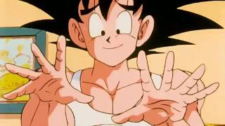Goku Chama A Chi-Chi De Filha Da Puta