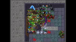 Tibia War Heead Warman 941 PVP FRAG
