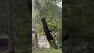 Kullu Bhuntar