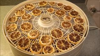 How to Dehydrate Lemons