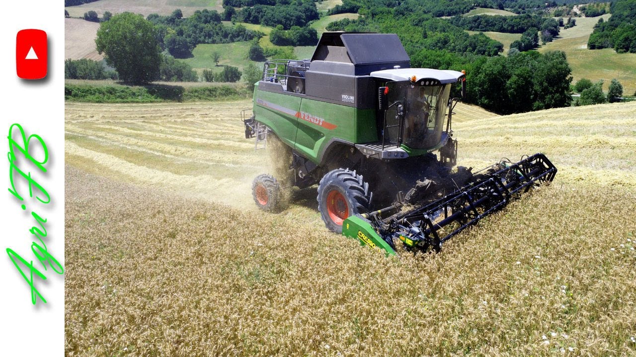 Fendt 5275 CSL - Trebbiatura 2024 - Az. Agricola Bruni Andrea (Sassoferrato, AN)