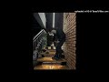 [FREE] SHEDER + RUSINA TYPE BEAT "goń" @prodbynoctis
