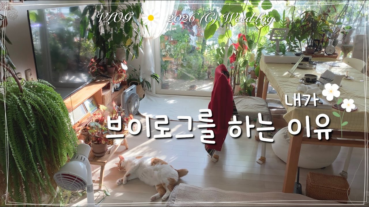 ENG vlog 내가 브이로그를 하는 이유, 지역난방 난방비 폭탄 맞고 테이블보 깔고 다이어트 렌틸콩 굽고 고양이랑 사는 집순이 주부의 일상 / 위드로그 2026년 1월 5주