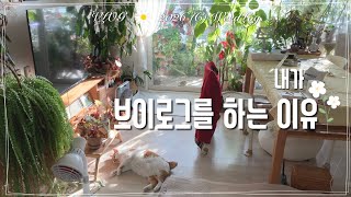 ENG vlog 내가 브이로그를 하는 이유, 지역난방 난방비 폭탄 맞고 테이블보 깔고 다이어트 렌틸콩 굽고 고양이랑 사는 집순이 주부의 일상 / 위드로그 2026년 1월 5주 screenshot 5