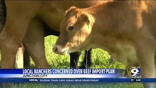 Information Oregon ranchers fear Trump's beef import plan hurts local farms Update