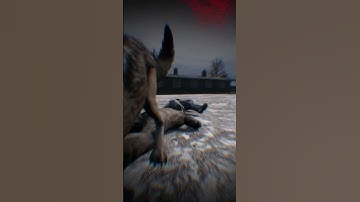 I Found the DayZ Afterlife