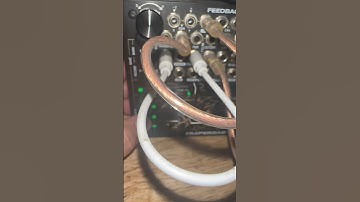 Hard Beats Bastl Softpop 2 #softpop2 #funkbeats #shorts