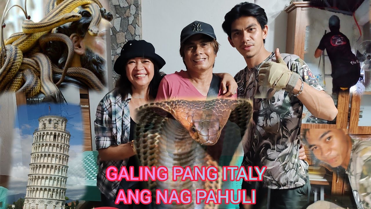 PINSAN NYA PATAY SA KAGAT NG COBRA.GALING PA ITALY ANG NAG PAHULI NG MABANGIS NA COBRA #cobraprince