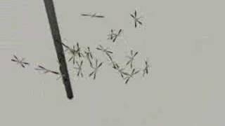 swarmtest 2_15