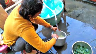 Vegetable Washing In Fresh Morning Time Cleaning Vlog Saree Home Cleaning Vlog
