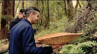 Resilient Redwoods | California Academy of Sciences Net Worth