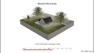 Beaufort Scale Wind Speed Example