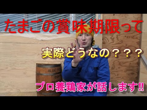 たまごの賞味期限って実際どうなの？プロ養鶏家が話します！蓮ヶ峯農場