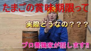 たまごの賞味期限って実際どうなの？プロ養鶏家が話します！蓮ヶ峯農場