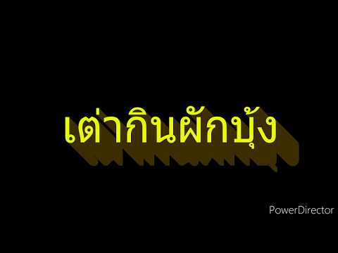 เต่ากินผักบุ้ง ครูเก่ง