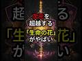 次元を超越する「生命の花」がやばい【 都市伝説 予言 ミステリー 】