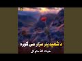 د شهید یار مزار می ګوره 