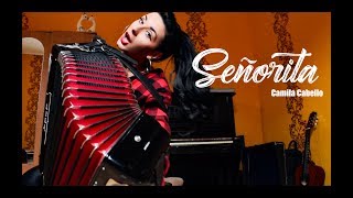 Camila Cabello - Señorita (accordion cover)