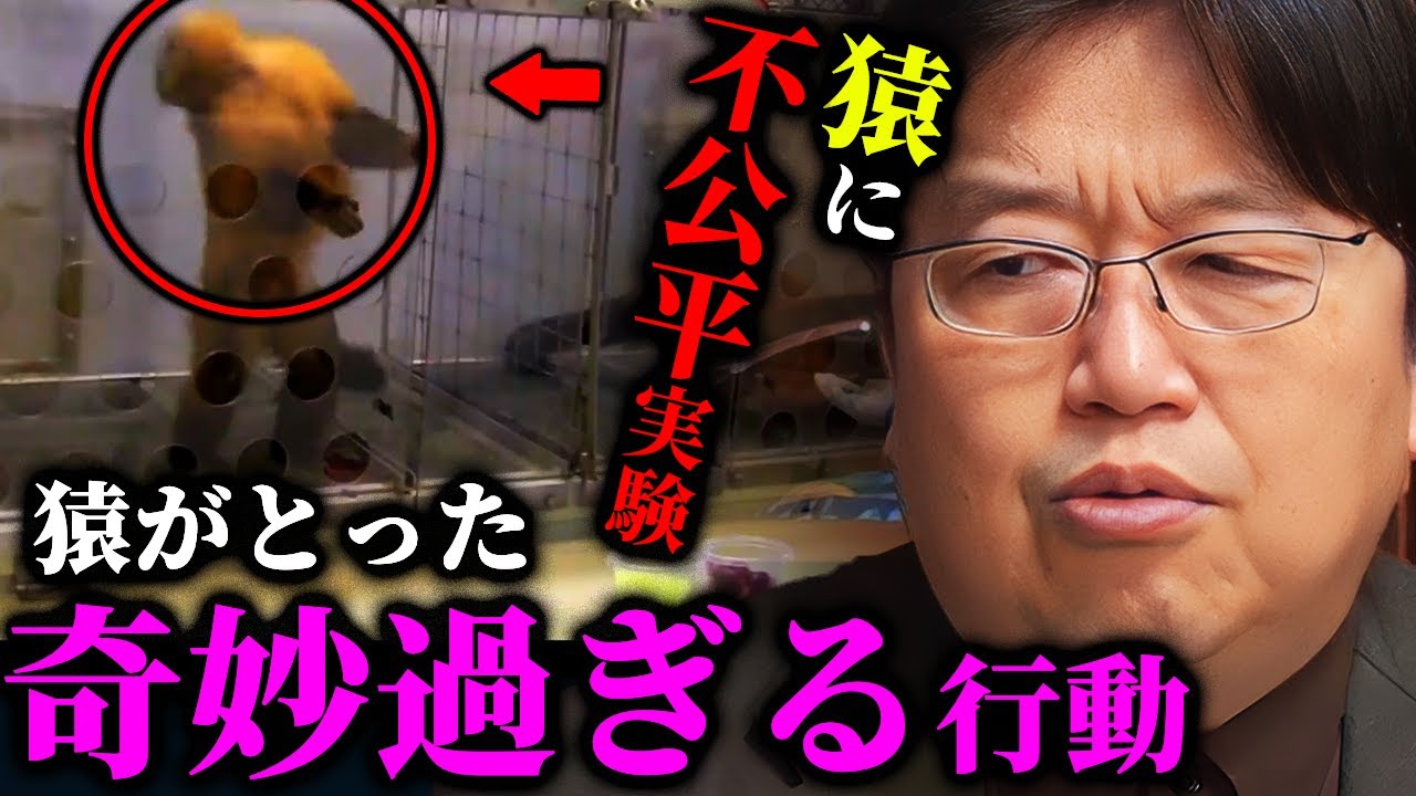 【岡田斗司夫】猿に不公平を味わわせる怪実験？不可解な反応をするサルが不思議過ぎる【岡田斗司夫切り抜き/切り取り/サイコパスおじさん/オマキザル/サバンナモンキー】