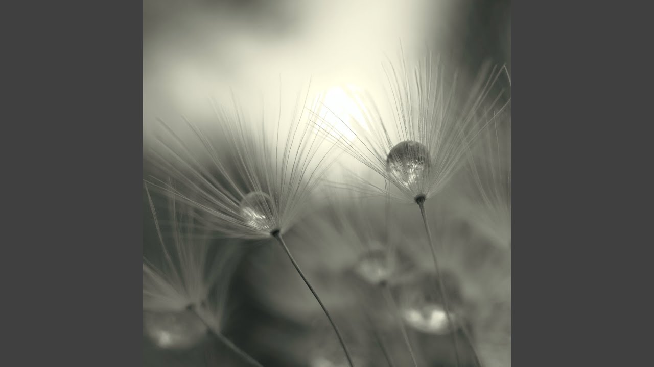 Take It in Your Stride (Lofi)