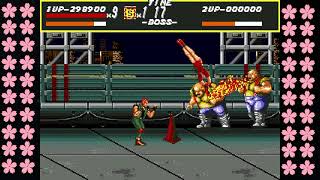 STREETS OF RAGE - ALL DOUBLE BOSSES vs BLAZE - HARDEST 2 UP - No Death