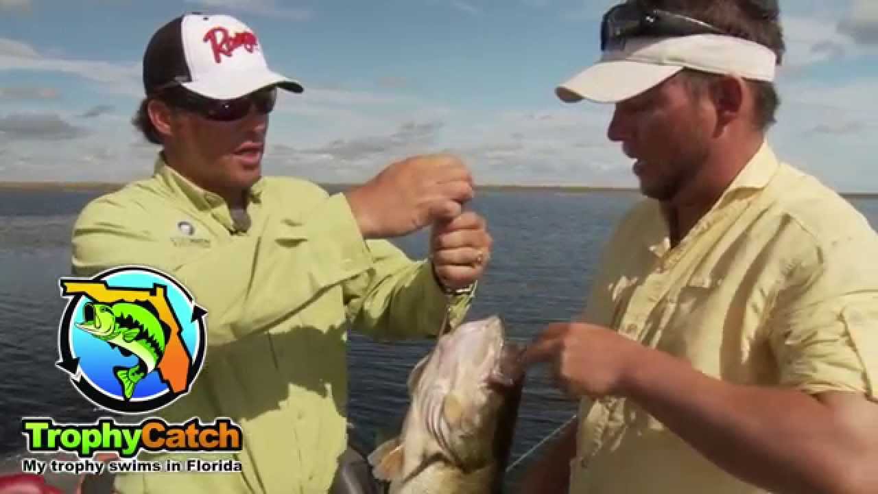 Giant Bass top water Explosion – Florida Trophy Catch Program – Get paid for catching big bass