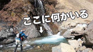 【春の渓流釣り①】岩魚を求めて更に山奥へ釣りと冒険の旅が始まるよ