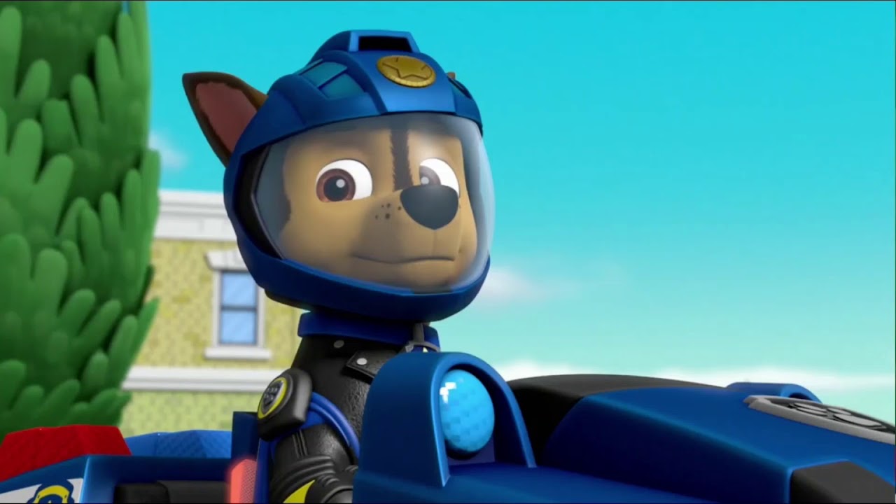 PAW Patrol Chase Tribute + You Need To Calm Down by Taylor Swift