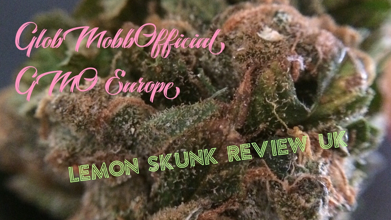 LEMON SKUNK REVIEW UK.