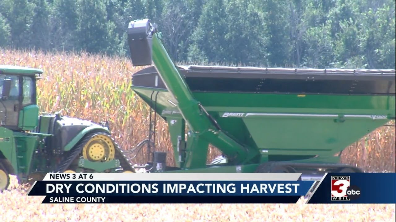 Extreme dry conditions impacting harvest season for farmers