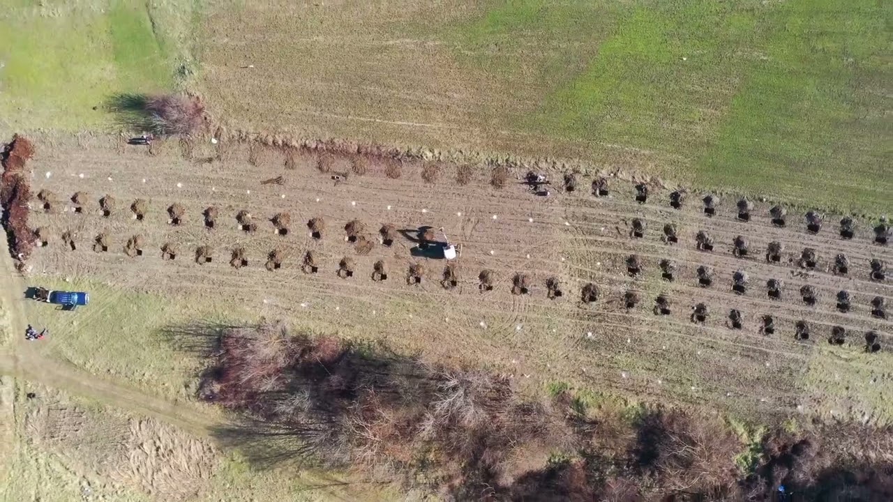 Faza e pare e investimit, Valon Sope