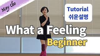 What a Feeling Line Dance (Beginner) - Tutorial