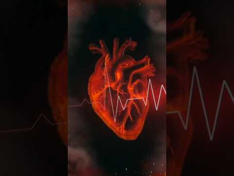 ضربان ضربان حسین مرتضی خادمی جنون اکسپلور وایرال