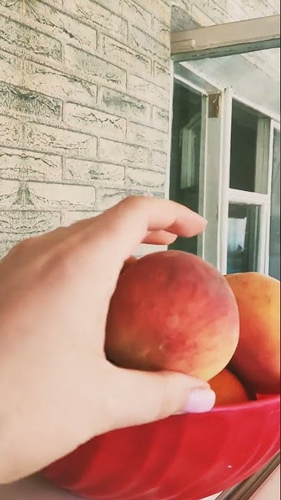 Узбекские персики😋 - YouTube