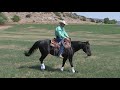 Ken McNabb: How to Ride Your Horse with Light Hands | Learn Shoulder, Ribcage & Hindquarter Control