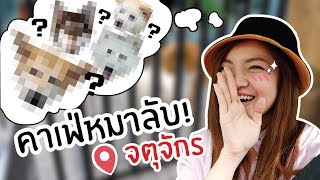 คาเฟ่หมาลับ! ที่เดียวในจตุจักร ( มาหาหมา ep4) // เจอแฝดน้องของแฟรงค์