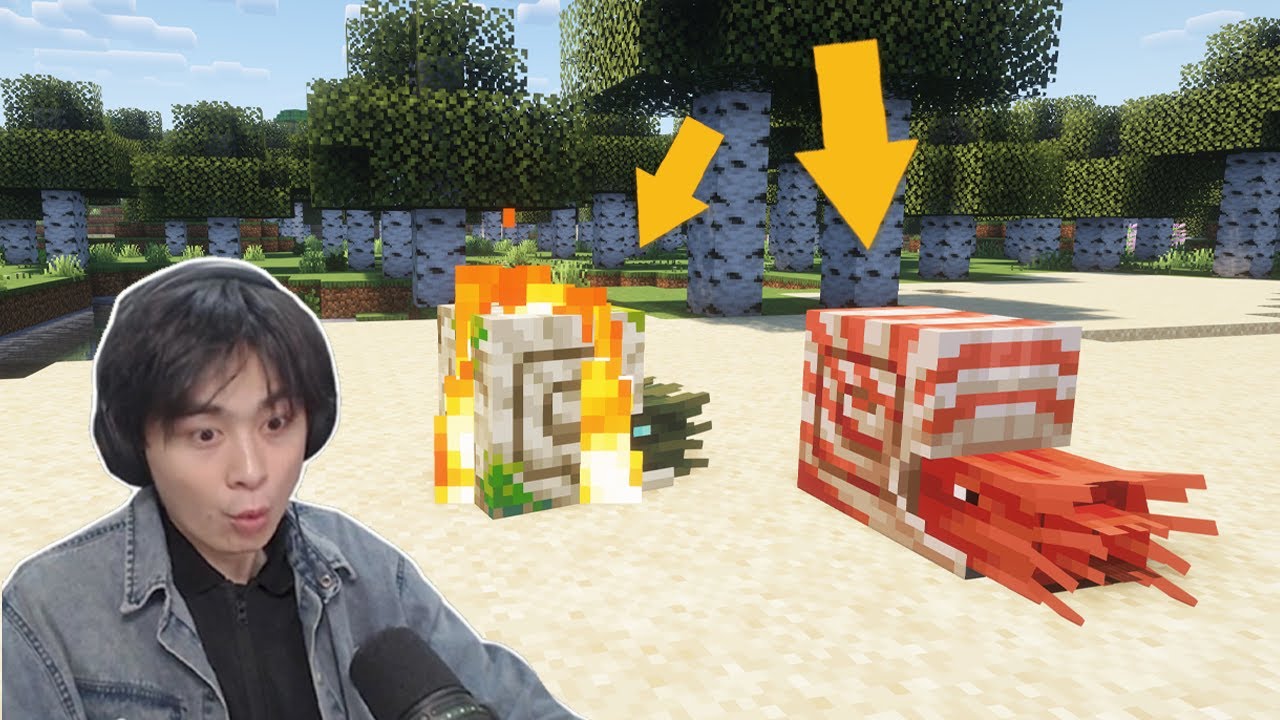 逮捕這隻MC新生物！有了它能當海王！Minecraft！# 阿山的比奇堡山丘