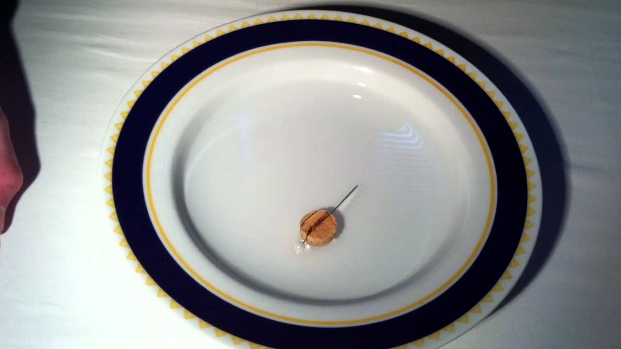 Comment Fabriquer Une Boussole Faire Une Boussole Fabriquer Une Boussole Maison Youtube