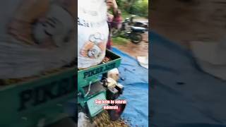 wau mantap huller pemecah kulit basah pikar jaya #hullerkopi #shortvideo #hullerkopikering #huller